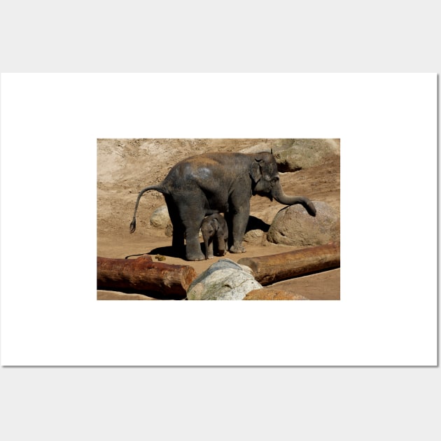 Elephant Mother and Son Wall Art by GP1746